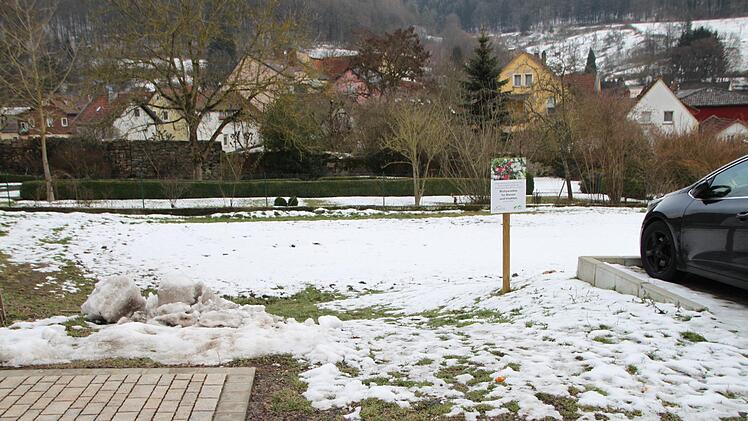 Auf dieser Wiese unterhalb des bereits ausgebauten Parkplatzes an der Obermang könnte neuer Parkraum entstehen. Foto: Ulrike Müller