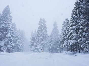 Schnee in Kalifornien