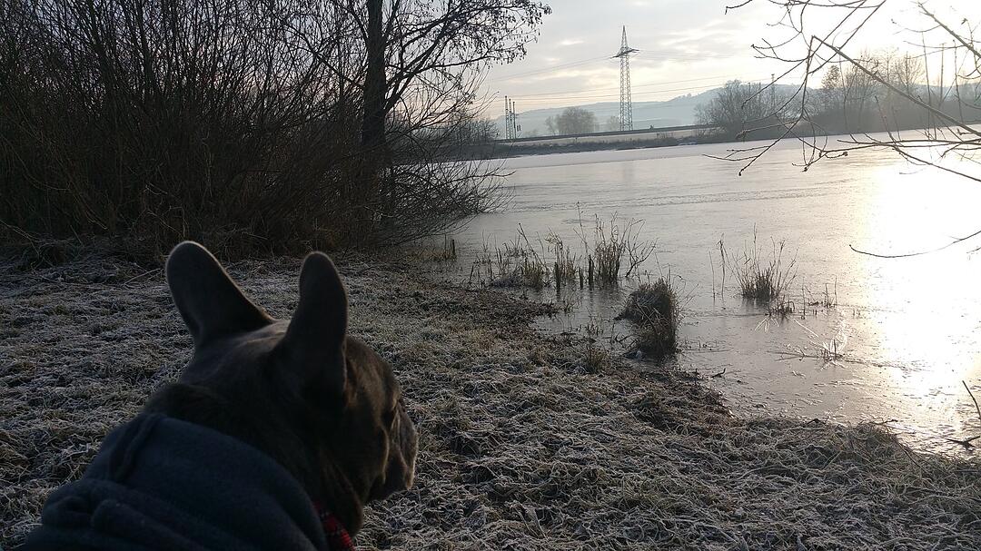Die schönsten Frühlingsfotos aus Lichtenfels und Umgebung