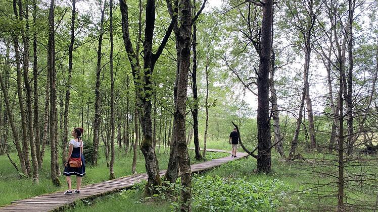 Josie Schuhmacher blickt vom Bohlenweg aus in das Schwarze Moor. Anja Vorndran