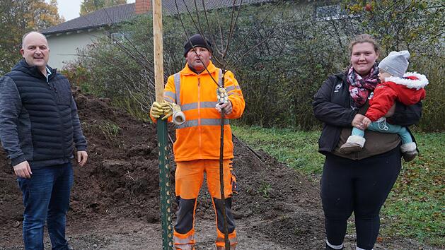 Bürgermeister Daniel Wehner (links) übergab Obstbäume gemeinsam mit  Bauhofmitarbeiter Marco Köth an junge Eltern. Auf dem Bild nimmt Maria  Friedrich Ils den Obstbaum für ihren Sohn Emil in Empfang.  Foto: Marion  Eckert