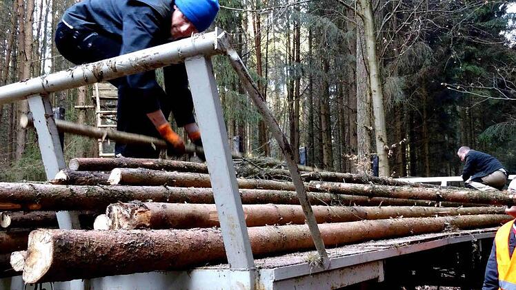 Das Holz wird auf den Hänger geladen. Foto: Johanna Blum