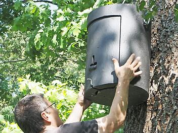 So sieht ein Fledermauskasten aus.  Fotos: Freimut Brückner