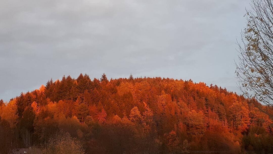 Die schönsten Fotos im November aus Kronach und Umgebung