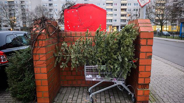 Weihnachtsbaum-Abfuhr in Hof verz&ouml;gert sich wegen Schnee und Eis