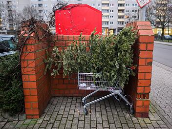 Weihnachtsbaum-Abfuhr in Hof verz&ouml;gert sich wegen Schnee und Eis