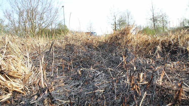 Auch mehrere Tage nach dem Brand auf der Wiese, sind die Spuren deutlich sichtbar.