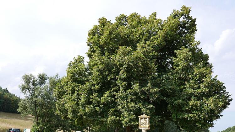 Naturdenkmal bei Haar.Heike Beudert