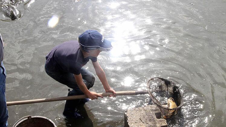 Felix durfte von Anfang an mit abfischen. Foto: Michael Busch