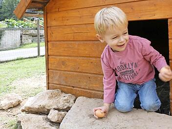 Der junge Urlauber Julian hat Eier im Hühner-Häuschen gefunden.  Foto: Barbara Herbst/Archiv