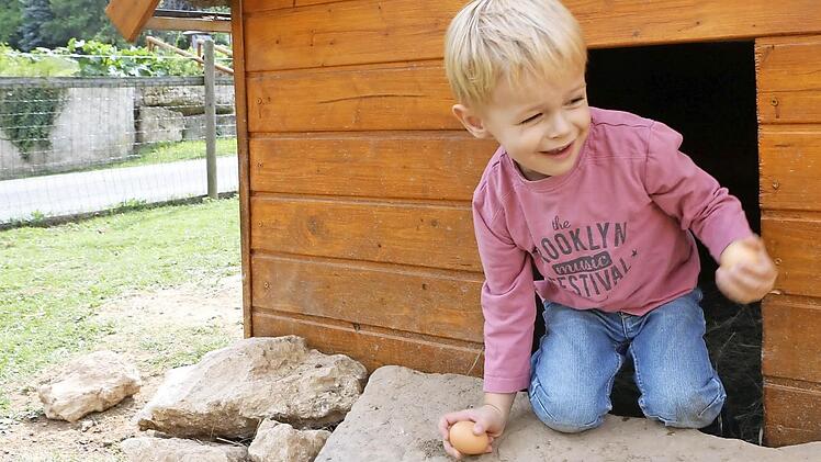 Der junge Urlauber Julian hat Eier im Hühner-Häuschen gefunden.  Foto: Barbara Herbst/Archiv