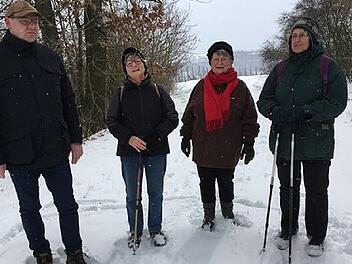 Wanderung im Schnee nach Sulzfeld