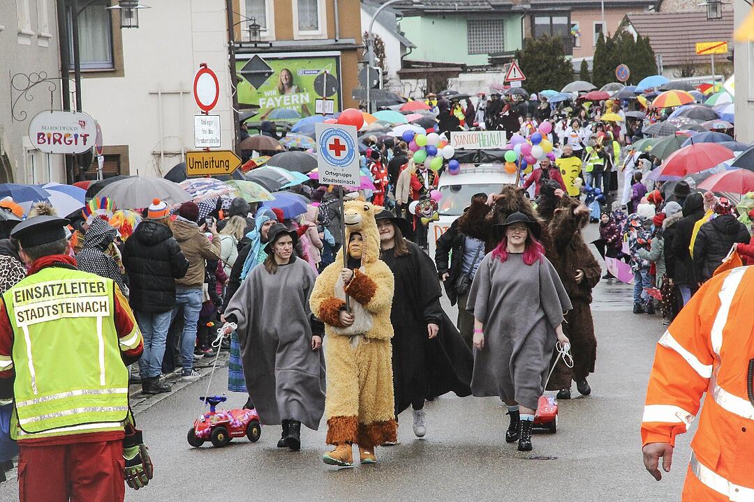 Stadtsteinacher Narrentreiben 2024
