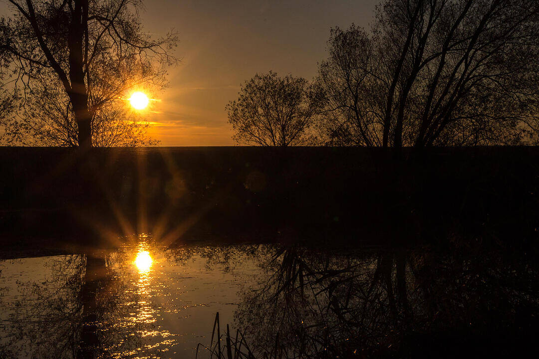 Fotos Konrad Thomann