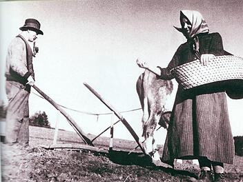 Eine Bäuerin beim Säen des Getreides im Jahr 1924 auf der Reichenbacher Höhe Repros: Alexander Grahl