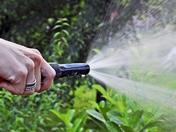 Das Wetter wird besser und immer mehr Leute gehen in den Garten. Wir haben für euch einige Gadgets herausgesucht, die euch bei der Arbeit helfen, oder einfach euren Garten verschönern. Symbolbild: Jens Schierenbeck/dpa