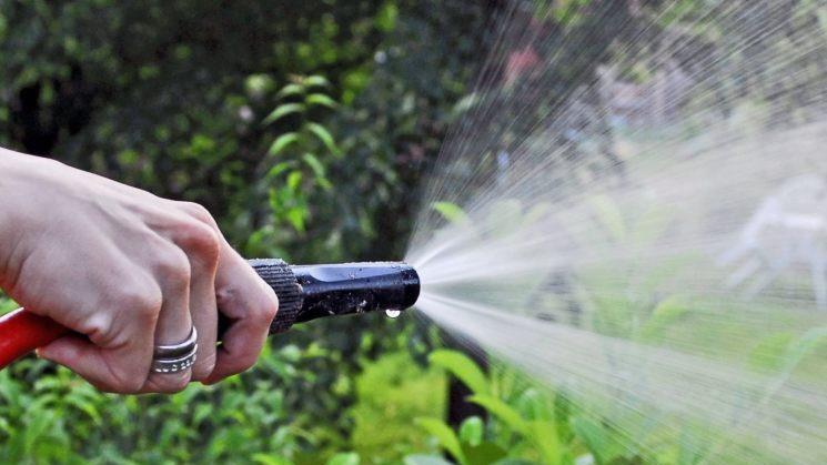 Das Wetter wird besser und immer mehr Leute gehen in den Garten. Wir haben für euch einige Gadgets herausgesucht, die euch bei der Arbeit helfen, oder einfach euren Garten verschönern. Symbolbild: Jens Schierenbeck/dpa