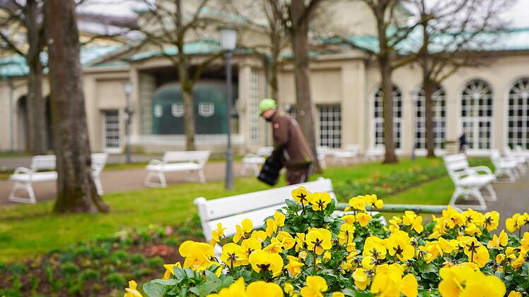 Das knallt ins Auge: Hornveilchen in Gelb. Foto: Bayerische Staatsbad GmbH