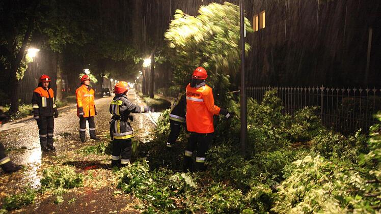 Foto: News5/Grundmann