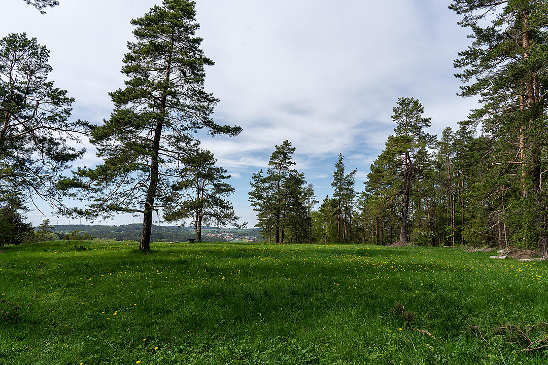 Der große Burgfels dient als toller Aussichtspunkt.