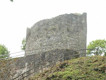 Mit Denkmal- und Naturschutzprojekten (hier die Ruine Nordeck bei Stadtsteinach) könnte der Tourismus angekurbelt werden.  Foto: Archiv