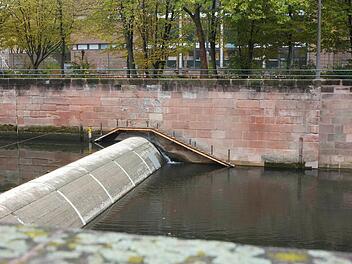 Teuer sind die tierischen Laufstege nicht. Der Prototyp in Nürnberg hat nur rund 2000 Euro gekostet. Nun will das Wasserwirtschaftsamt vier weitere Wehre in der Frankenmetropole mit der lebensrettenden Aufstiegshilfe ausrüsten. Foto: Nikolas Pelke
