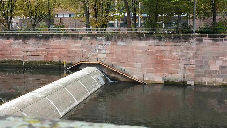 Teuer sind die tierischen Laufstege nicht. Der Prototyp in Nürnberg hat nur rund 2000 Euro gekostet. Nun will das Wasserwirtschaftsamt vier weitere Wehre in der Frankenmetropole mit der lebensrettenden Aufstiegshilfe ausrüsten. Foto: Nikolas Pelke