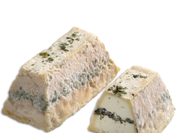 Käse-Rückruf: Französischer Hersteller ruft Ziegenkäse wegen Listerien zurück Käse-Rückruf: Französischer Hersteller ruft Ziegenkäse wegen Listerien zurück