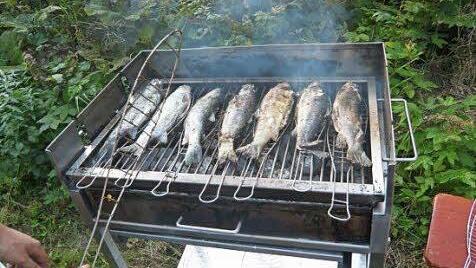 Darauf warten alle beim Fischerfest: Forellen vom Grill.