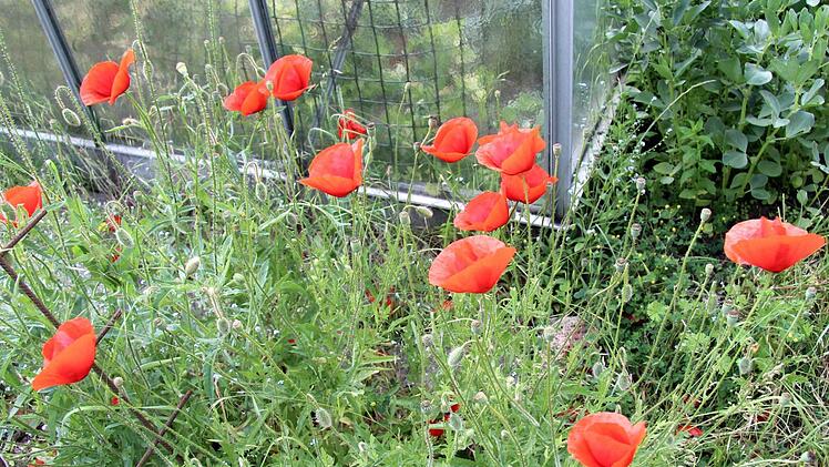 Foto: Richard Sänger