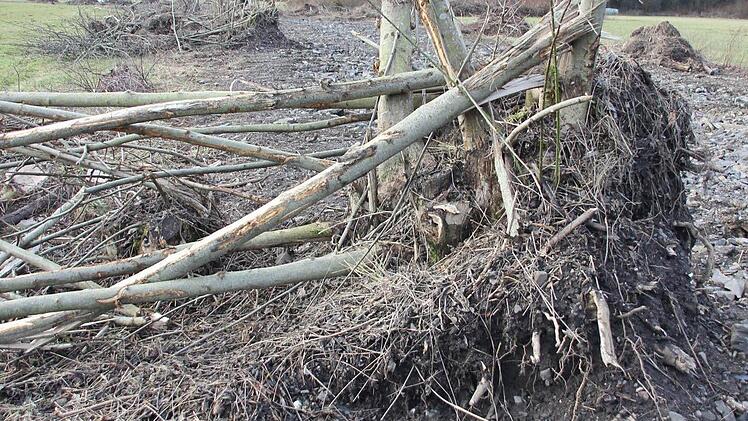 Foto: Friedwald Schedel