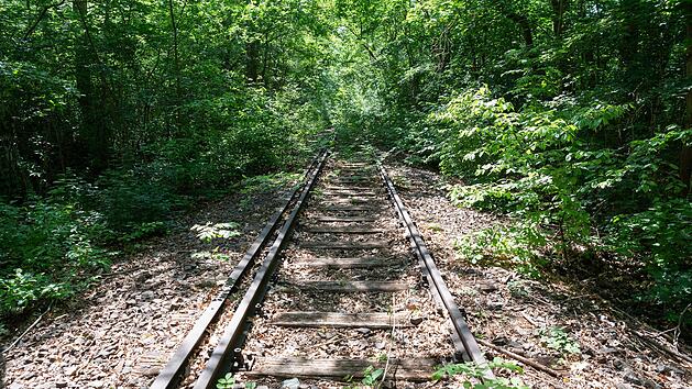 Gleise liegen auf der alten Strecke zwischen Coburg und Eisfeld längst nicht mehr. Nur Teile des Damms sind in der Landschaft noch zu sehen (das Foto entstand bei Kleinmachnow).