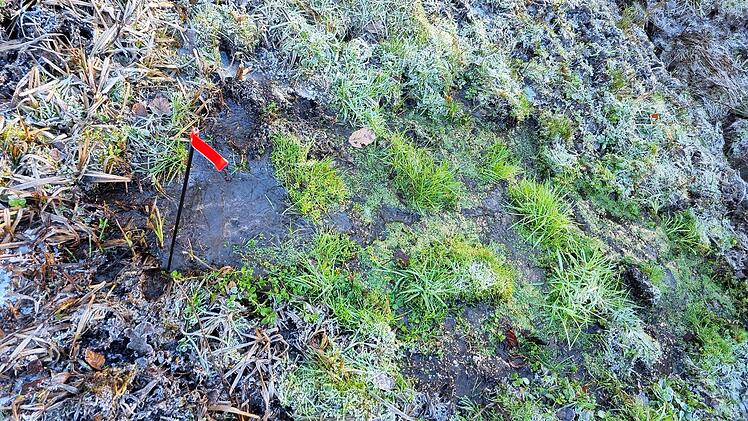 Das Projekt „Quellenkartierung im Landkreis Bad Kissingen“ des Bundes Naturschutz wurde bis März 2025 verlängert (im Bild die Embach-Quelle). Für alle Interessierten gibt es eine öffentliche Kartierung, einen Vortrag und eine Schulung.