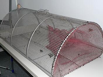 Die Stadt Erlangen und der Landkreis Erlangen-Höchstadt wollen demnächst solche Lebendfallen am Kleinen Bischofsweiher aufstellen, auch wenn die Erfolgsaussichten eher gering sind. Foto: Veterinäramt Stadt Erlangen