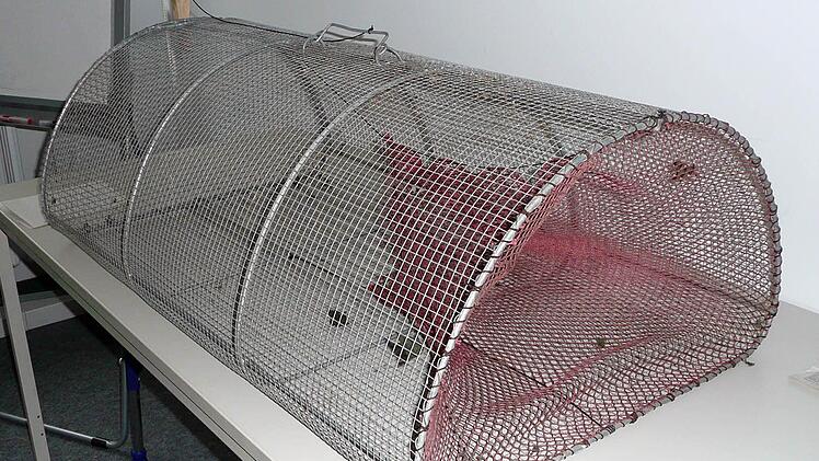 Die Stadt Erlangen und der Landkreis Erlangen-Höchstadt wollen demnächst solche Lebendfallen am Kleinen Bischofsweiher aufstellen, auch wenn die Erfolgsaussichten eher gering sind. Foto: Veterinäramt Stadt Erlangen