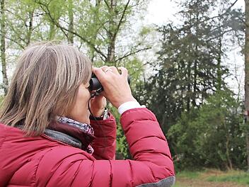 Biologin Rotraud Krüger achtet bei größeren Bauvorhaben in Forchheim darauf, dass so viele Bäume wie möglich stehen bleiben. Fotos: Andreas Schmitt