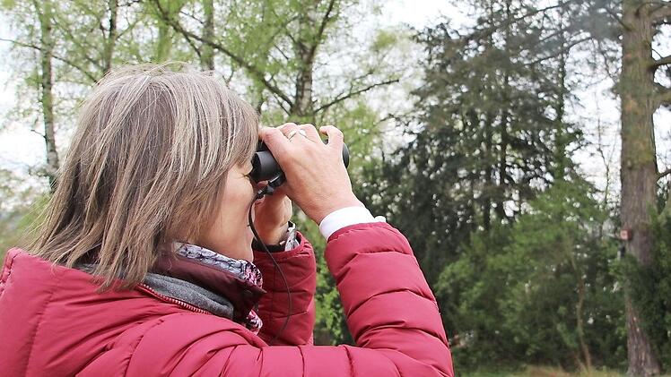 Biologin Rotraud Krüger achtet bei größeren Bauvorhaben in Forchheim darauf, dass so viele Bäume wie möglich stehen bleiben. Fotos: Andreas Schmitt