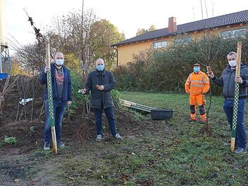 Bürgermeister Daniel Wehner übergab Obstbäume an junge Eltern. Das Bild zeigt Tobias Metzler, der den Baum für Sohn Leon in Empfang nahm, Bauhofmitarbeiter Marco Köth und Christoph Voll, der den Baum für Sohn Anton entgegen nahm.  Foto: Marion Eckert