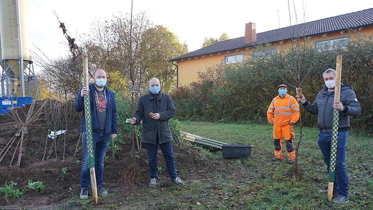 Bürgermeister Daniel Wehner übergab Obstbäume an junge Eltern. Das Bild zeigt Tobias Metzler, der den Baum für Sohn Leon in Empfang nahm, Bauhofmitarbeiter Marco Köth und Christoph Voll, der den Baum für Sohn Anton entgegen nahm.  Foto: Marion Eckert