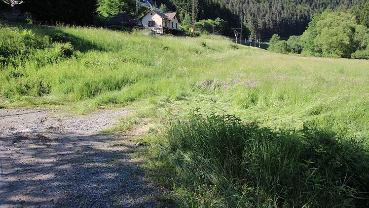 Das Gras in der Wiese war plattgewalzt. Foto: Friedwald Schedel