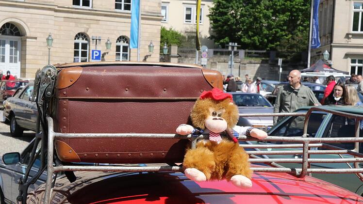 Mitfahrer oder Maskottchen? Foto: Wolfgang Desombre