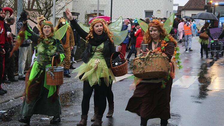 Sinntaler Faschingszug in Altengronau am 30. Januar 2016 Foto: Steffen Vetter
