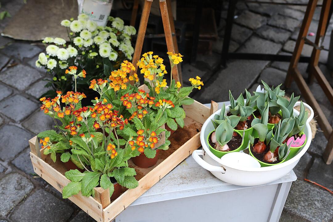 Frühling in Franken: Das Leben erwacht