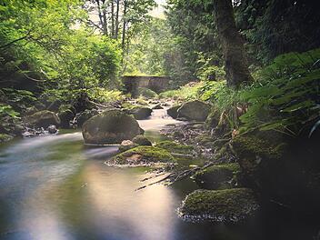 Das Bodetal zählt zu einem der spektakulärsten Ausflugsziele im Harz.