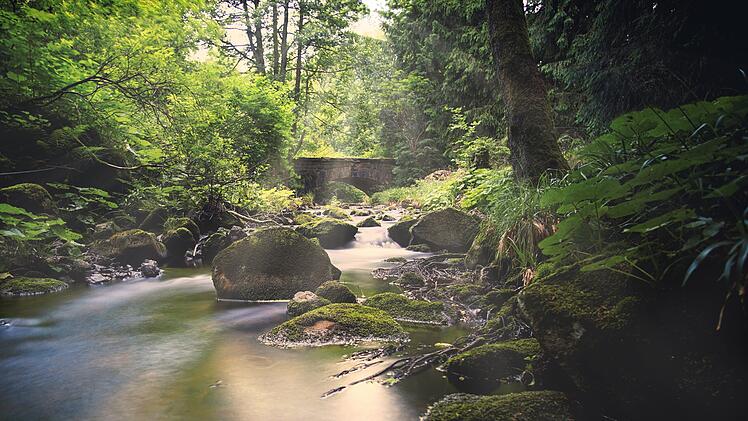 Das Bodetal zählt zu einem der spektakulärsten Ausflugsziele im Harz.
