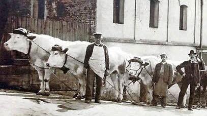 1831 wurde die Spedition von Stadtfuhrmann Johann Murrmann gegründet. Foto: privat