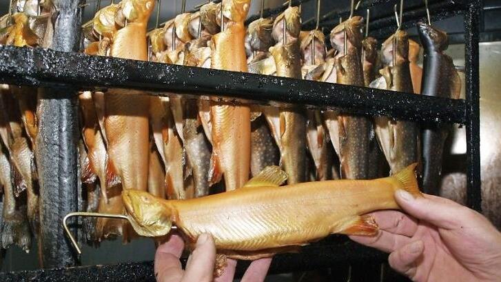 Ein Delikatesse: geräucherter Fisch. Bei einem Lehrgang in Aufseß werden die Teilnehmer mit allen Informationen über das Räuchern versorgt. Foto: Bezirk Oberfranken