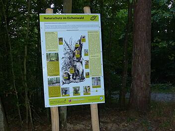 Jede Tafel rundet für sich einen eigenen Themenkomplex des Waldes ab. So sieht die Tafel zum Thema Naturschutz aus.