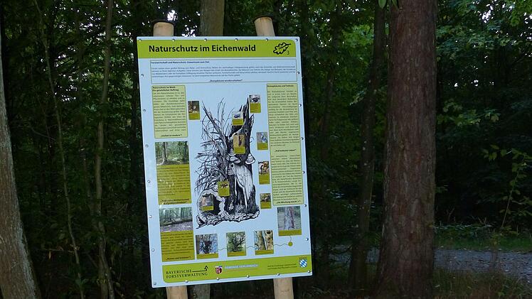 Jede Tafel rundet für sich einen eigenen Themenkomplex des Waldes ab. So sieht die Tafel zum Thema Naturschutz aus.