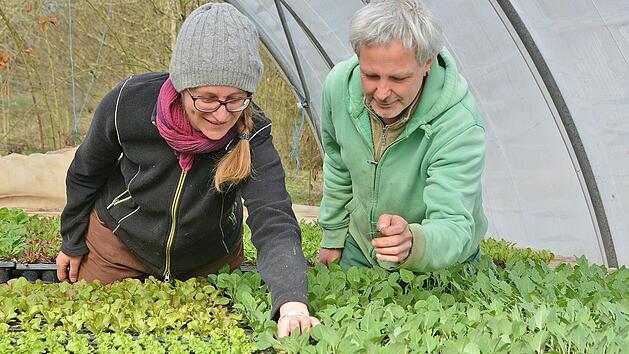Bettina und Wolfang W&auml;nke in einem ihrer Gew&auml;chsh&auml;user, wo die ersten Gem&uuml;sepfl&auml;nzchen der Saison heranwachsen.  Fotos: Dagmar Besand